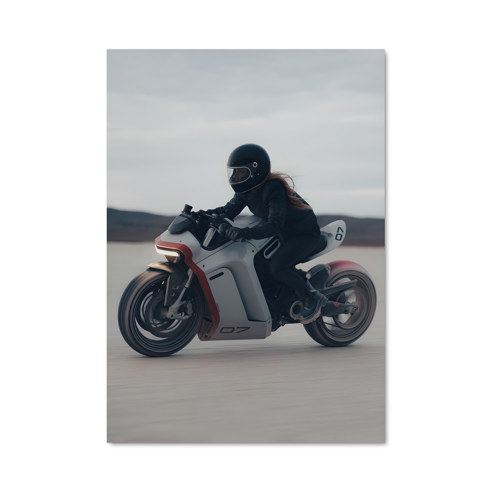 Poster magnifiques motos Zero